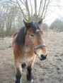 /album/katy/moments-de-detente-054-jpg/